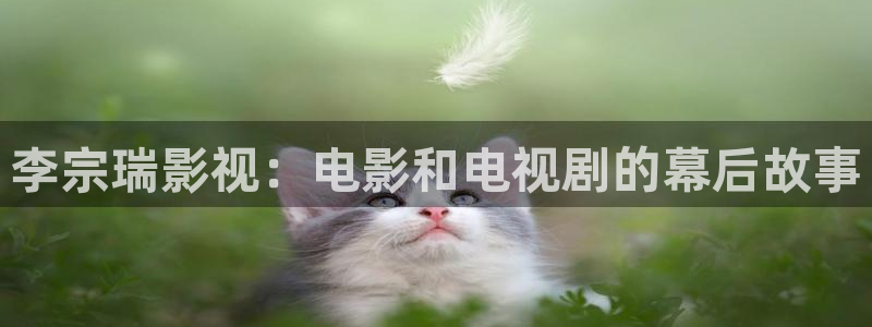 琪琪影院福利：李宗瑞影视：电影和电视剧的幕后故事