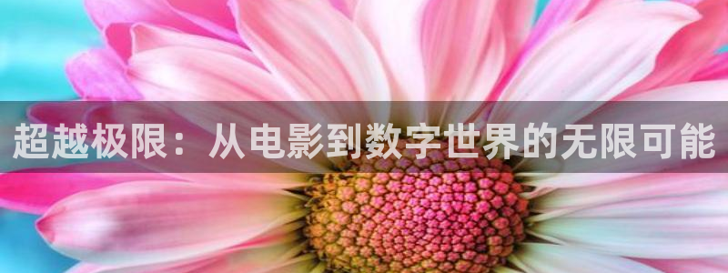 琪琪午夜伦理影院电影在线